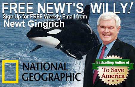 Newt's series about killer whales is being pitched to National Geographic Channel