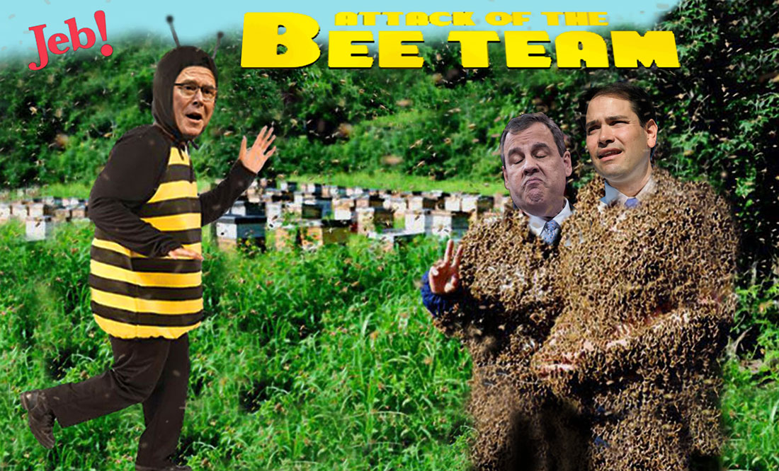 ATTACK OF THE BEE TEAM