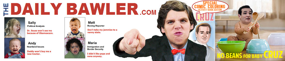 DAILY BAWLER - December 2013