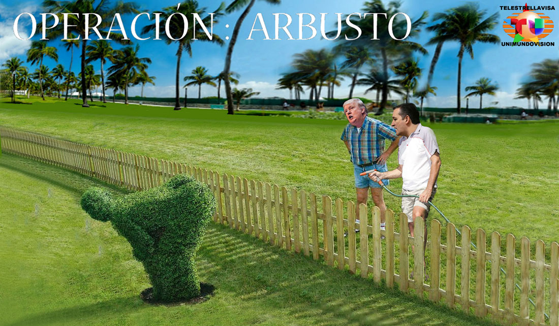 OPERACION ARBUSTO