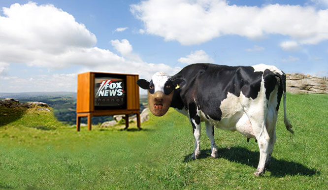 Mad cow caused by channel change!