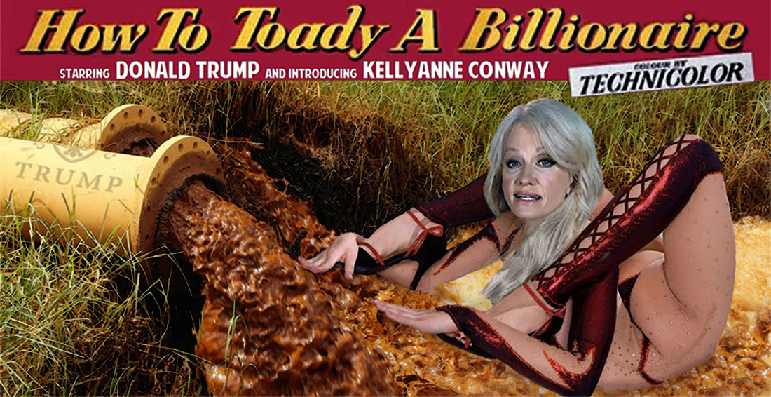 HOW TO TOADY A BILLIONAIRE