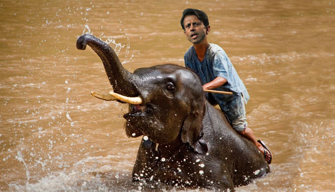 Sununu Mahout Jindal says Obama not American enough!