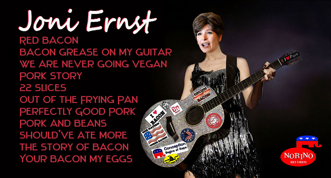 JONI ERNST RECORD