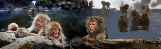Monkey
      House out of control!