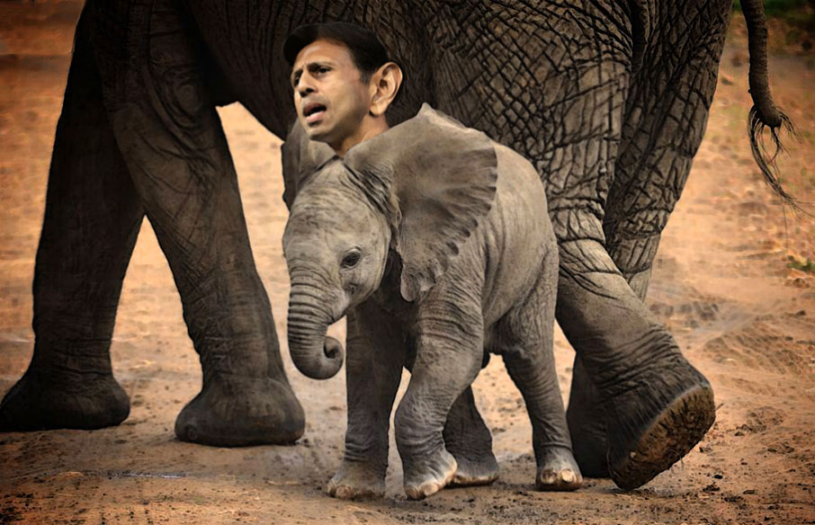 20 Youngest elephant complains about too much bullshit!