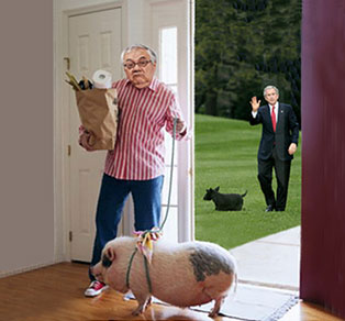 Barney Frank named his pig George after President Bush named his dog Barney.