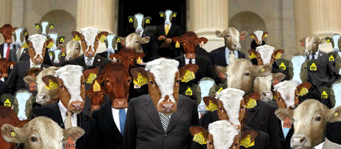 Congress in stampede over earmarks.