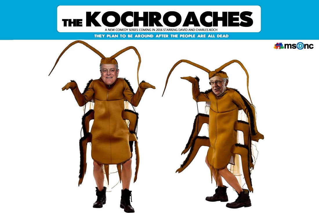 THE KOCHROACHES