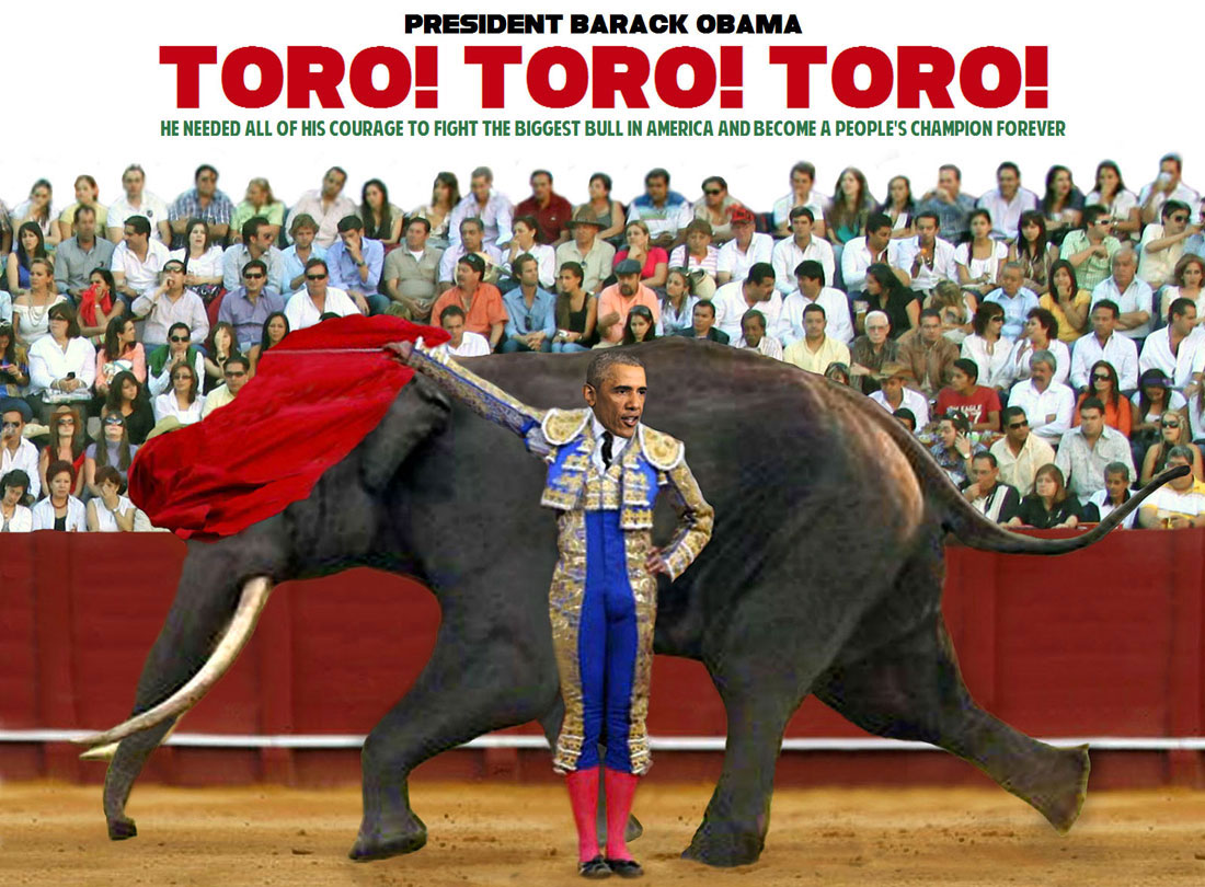 TORO TORO TORO