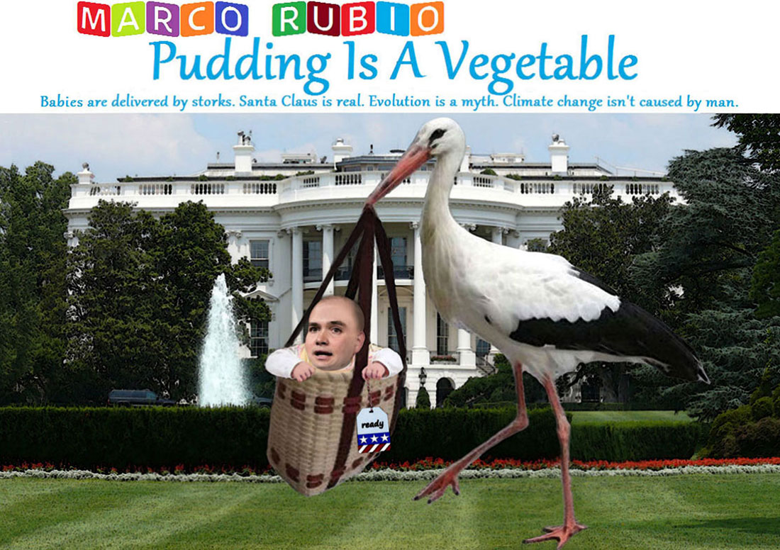 MARCO RUBIO'S PUDDING IS A VEGETABLE