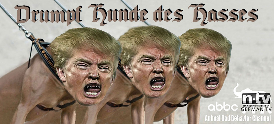 DRUMPF HUNDE DES HASSES - TRUMP HOUNDS OF HATE